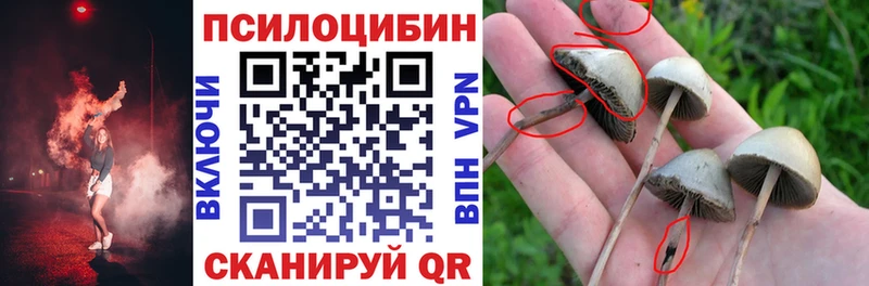 Купить где  Аркадак  Псилоцибиновые грибы прущие грибы 